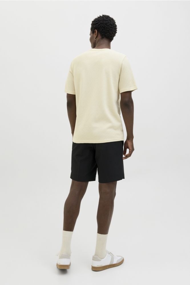 JPRBLAFRANCO SS TEE CREW NECK LN 12175825 CLOUD CREAM
